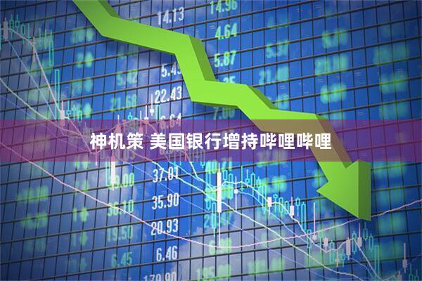 神机策 美国银行增持哔哩哔哩