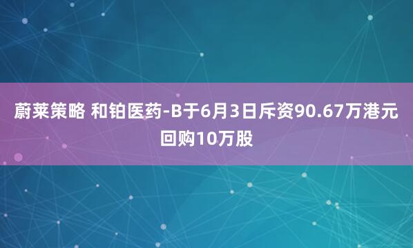 蔚莱策略 和铂医药-B于6月3日斥资90.67万港元回购10万股