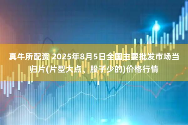 真牛所配资 2025年8月5日全国主要批发市场当归片(片型大点、股子少的)价格行情