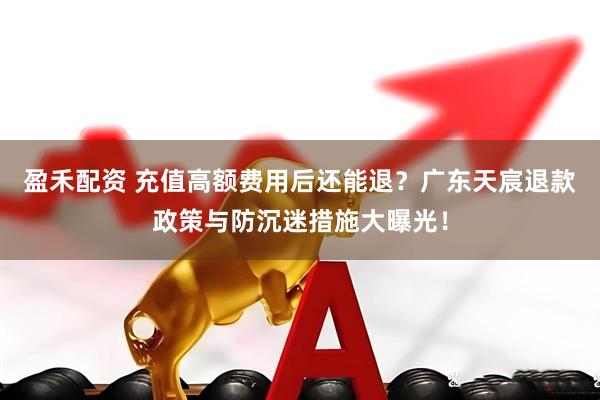 盈禾配资 充值高额费用后还能退？广东天宸退款政策与防沉迷措施大曝光！