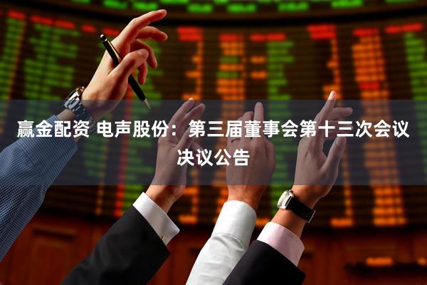 赢金配资 电声股份：第三届董事会第十三次会议决议公告