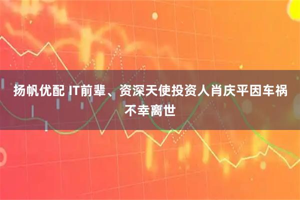 扬帆优配 IT前辈、资深天使投资人肖庆平因车祸不幸离世