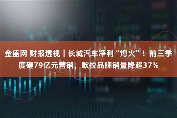 金盛网 财报透视｜长城汽车净利“熄火”！前三季度砸79亿元营销，欧拉品牌销量降超37%