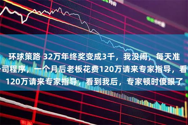 环球策路 32万年终奖变成3千，我没闹，每天准时上下班，再也不维护公司程序，一个月后老板花费120万请来专家指导，看到我后，专家顿时傻眼了