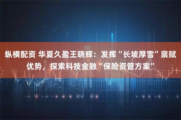 纵横配资 华夏久盈王晓辉：发挥“长坡厚雪”禀赋优势，探索科技金融“保险资管方案”