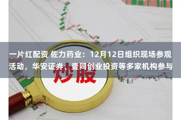 一片红配资 佐力药业：12月12日组织现场参观活动，华安证券、壹同创业投资等多家机构参与